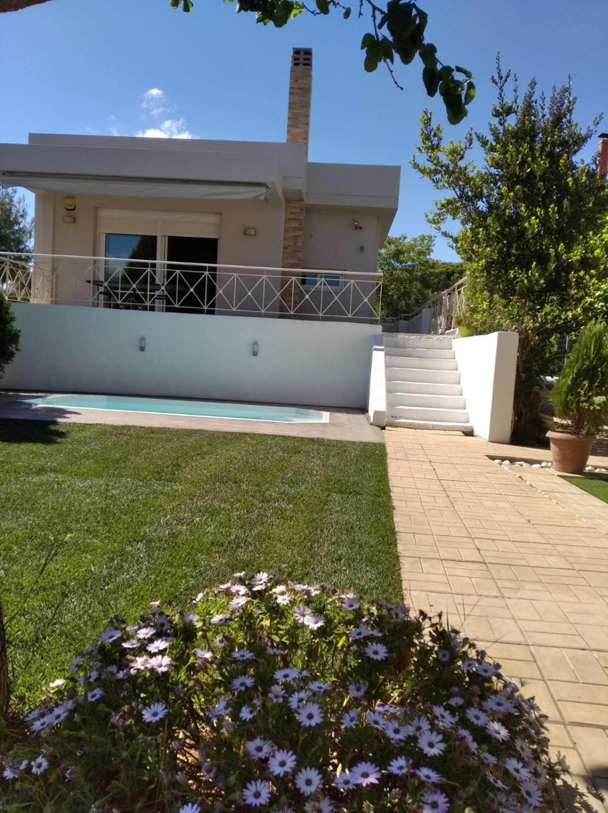Cozy Villa Vita Lagonisi Kalivia Thorikou 외부 사진